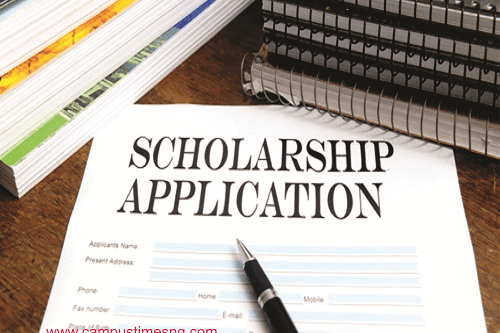 NPDC/SEPLAT Undergraduate Scholarship Application