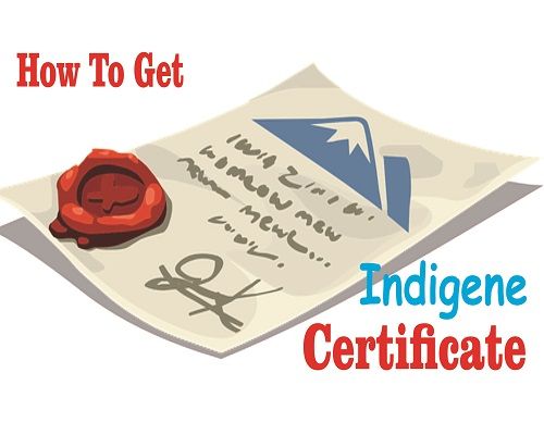 How To Get An Indigene Certificate In Nigeria