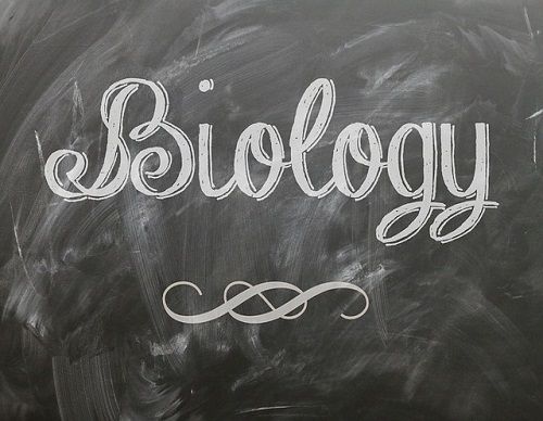 Full List Of Science Courses Without Biology