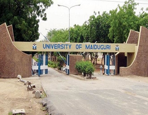University Of Maiduguri Courses & Requirements