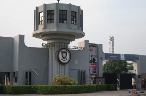 university of Ibadan courses, requirements