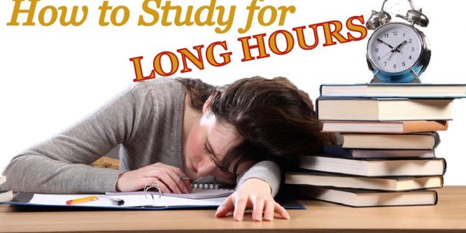 Ways To Study For Long Hours Without Losing Concentration