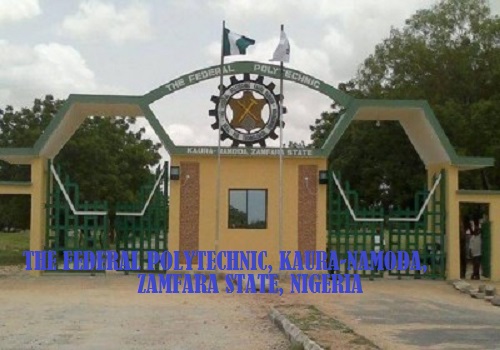 Federal Polytechnic Namoda Courses