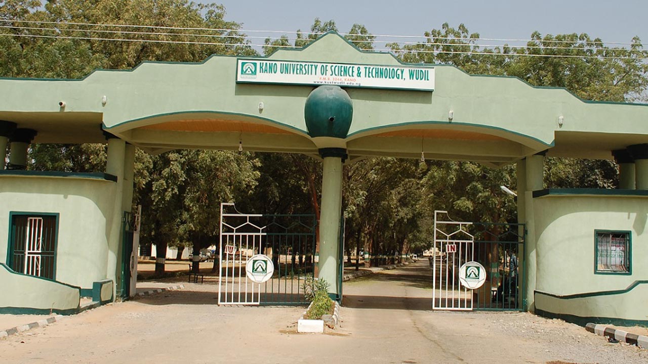 Kano University Of Science And Technology Courses