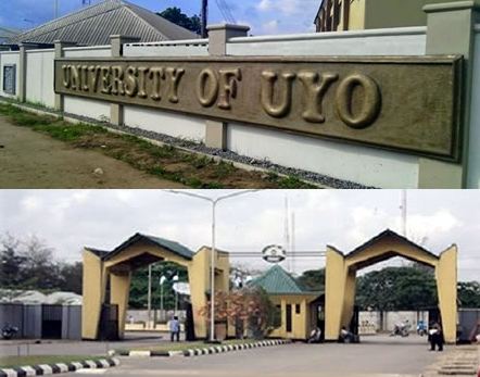 University Of Uyo Courses