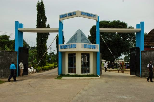 Niger Delta University courses
