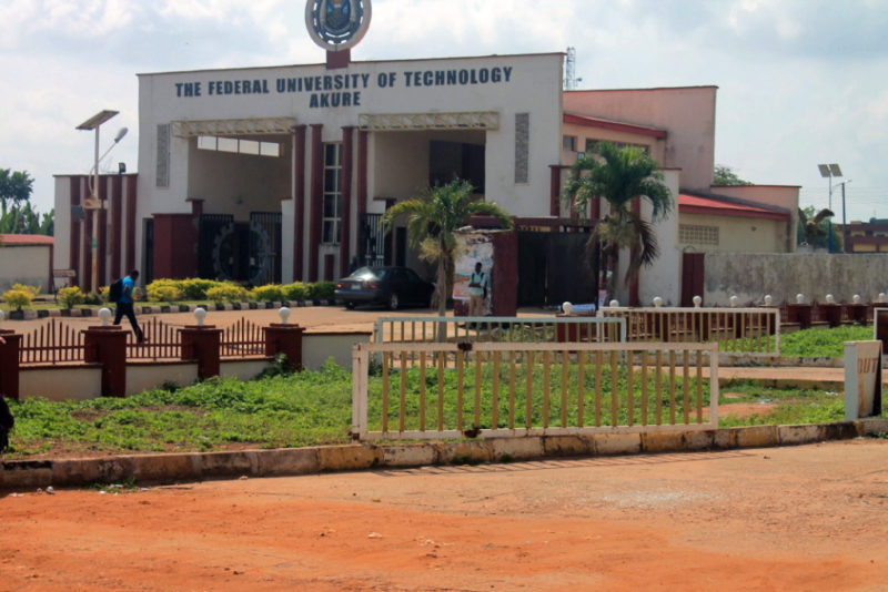Federal University Of Technology, Akure Courses
