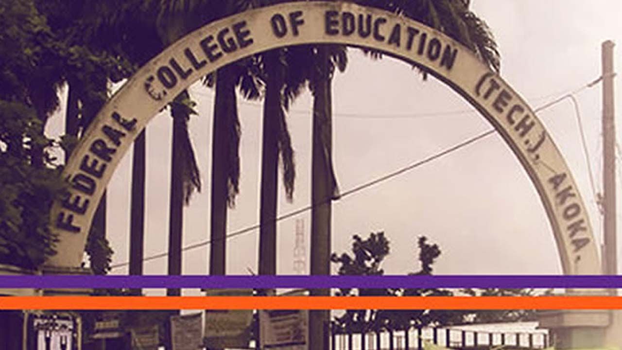 Federal College Of Education (Technical), Akoka courses